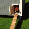 gambrel barn chicken coop chicken ramp 