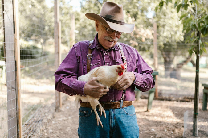 Man holding rooster
