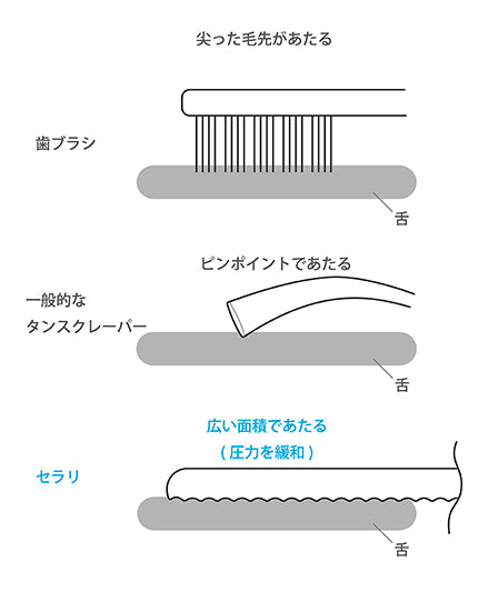 歯ブラシ、一般的なタンスクレーパー、セラリの形状比較