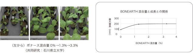 BONEARTHの効果について・小松菜での実験データ(共同研究：石川県立大学)