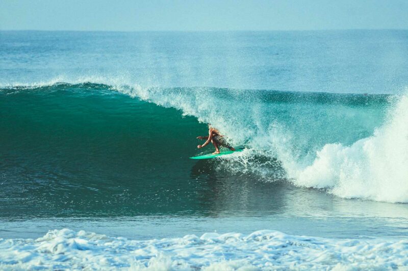 Nick pescetto surfing a wave