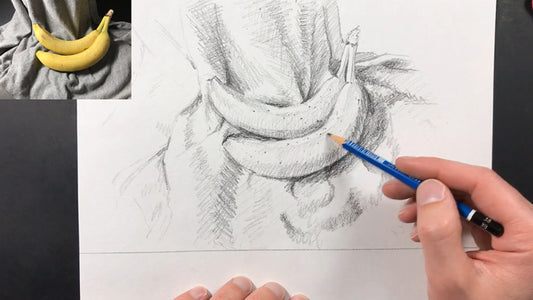 Ultimate Beginner to Advanced Pencil Drawing and Shading, Ava Moradi