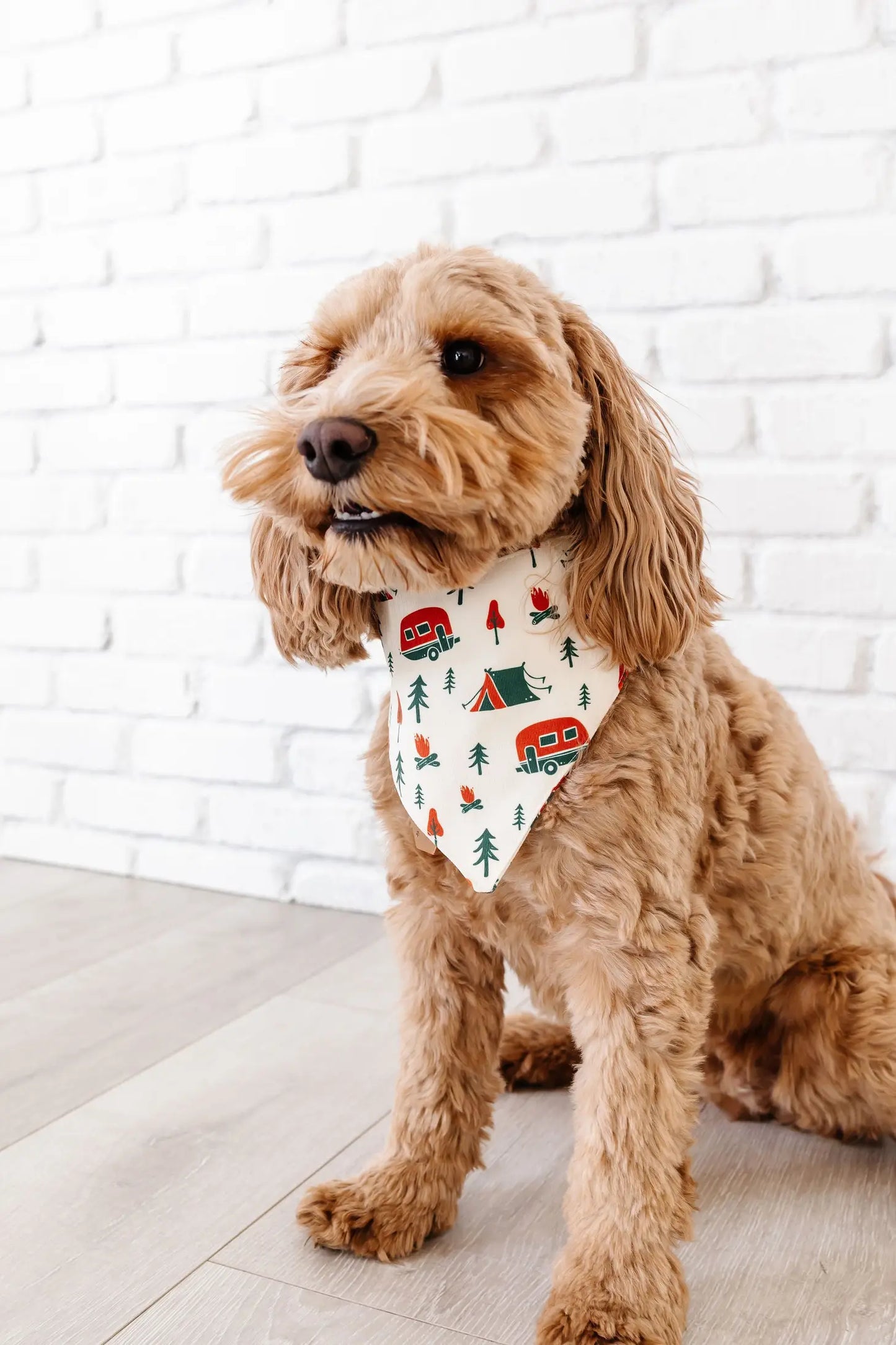 Camp Out Pet Bandana