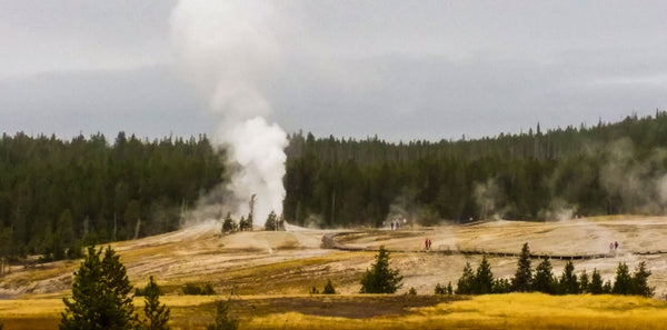 Yellowstone National Park