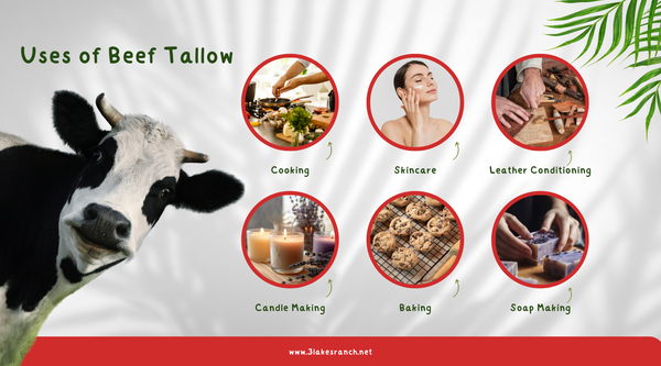 Uses of Beef Tallow
