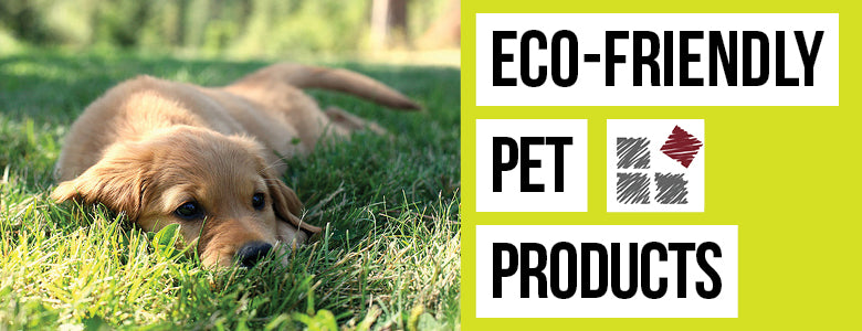 Eco-Friendly Pet Products