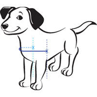 Softouch dog harness chest measurement