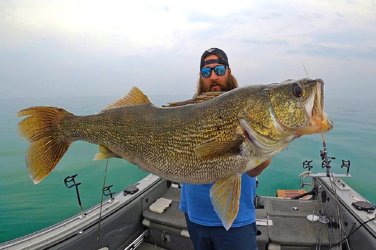 Lake Erie walleye fishing on and off the shore