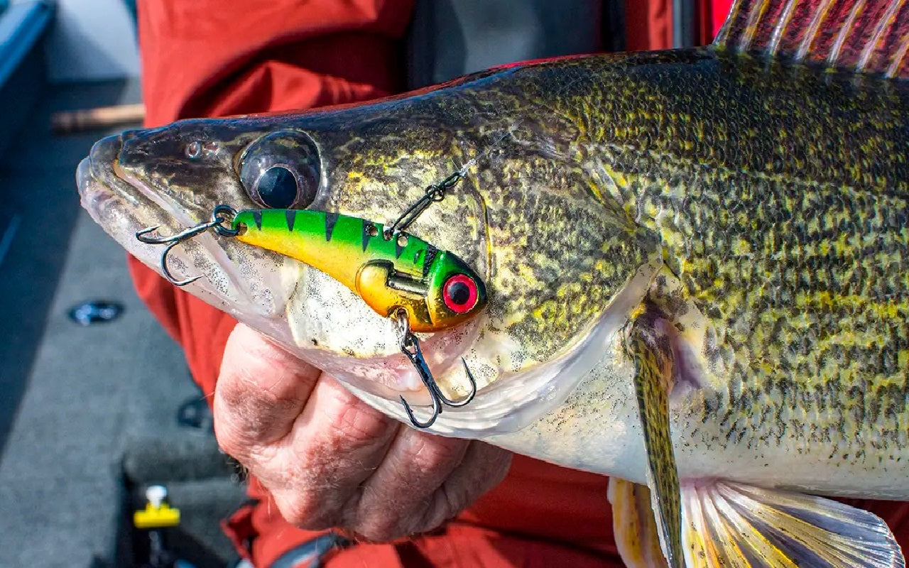 colors do walleye see best for lures