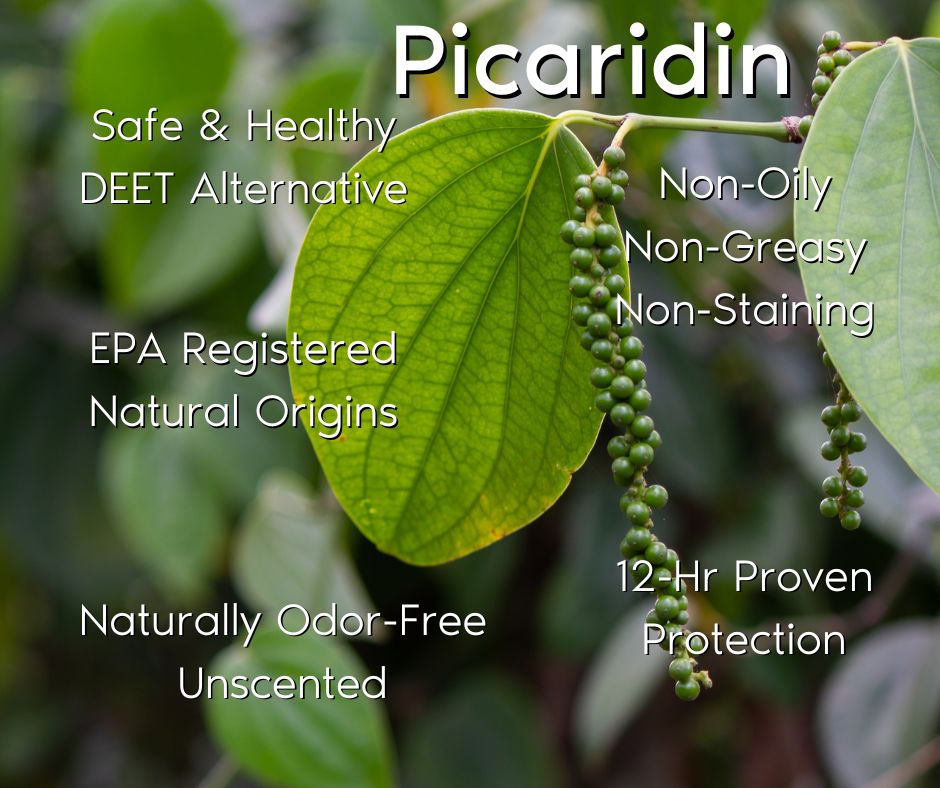 Picaridin - Derived from the Black Pepper Plant.jpg__PID:b7fb0a1e-6f96-4606-b426-109282999425