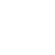 Vamos Drinks Collection