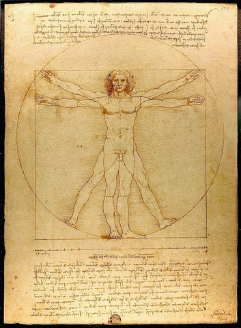 Vitruvian Man