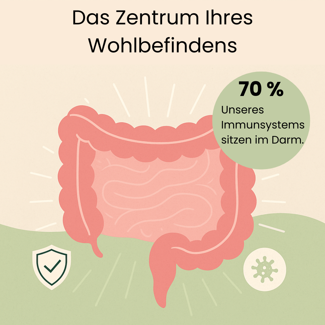 Darm und Immunsystem Illustration