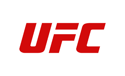 UFC Action Figures