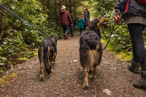 Trail Etiquette