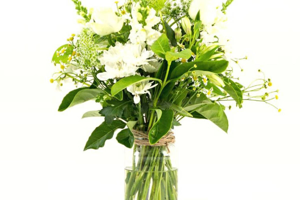 where flowers bloom so does hope, white flowers, stunning gifts, same day delivery cape town