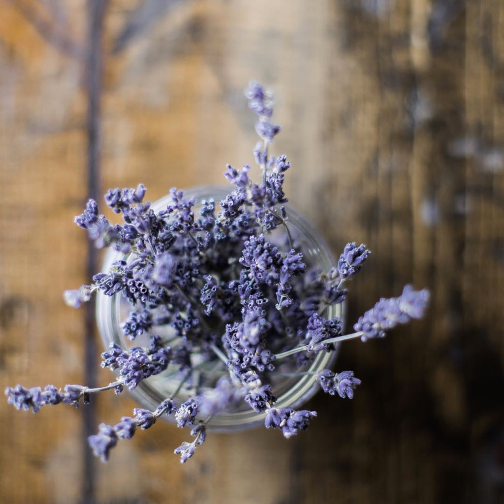 Lavender | Shop Fabulous Flowers Cape Town flower delivery