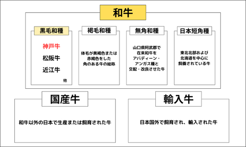 和牛・国産牛・輸入牛の分類表