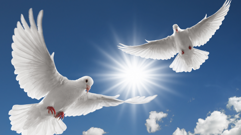 Two doves flying among the clouds.