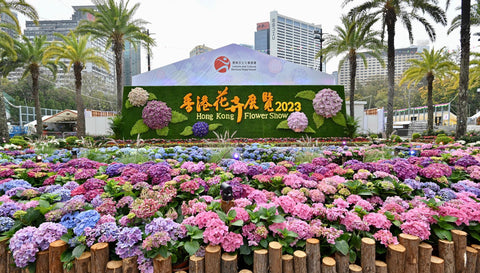 hong kong flower show 2024