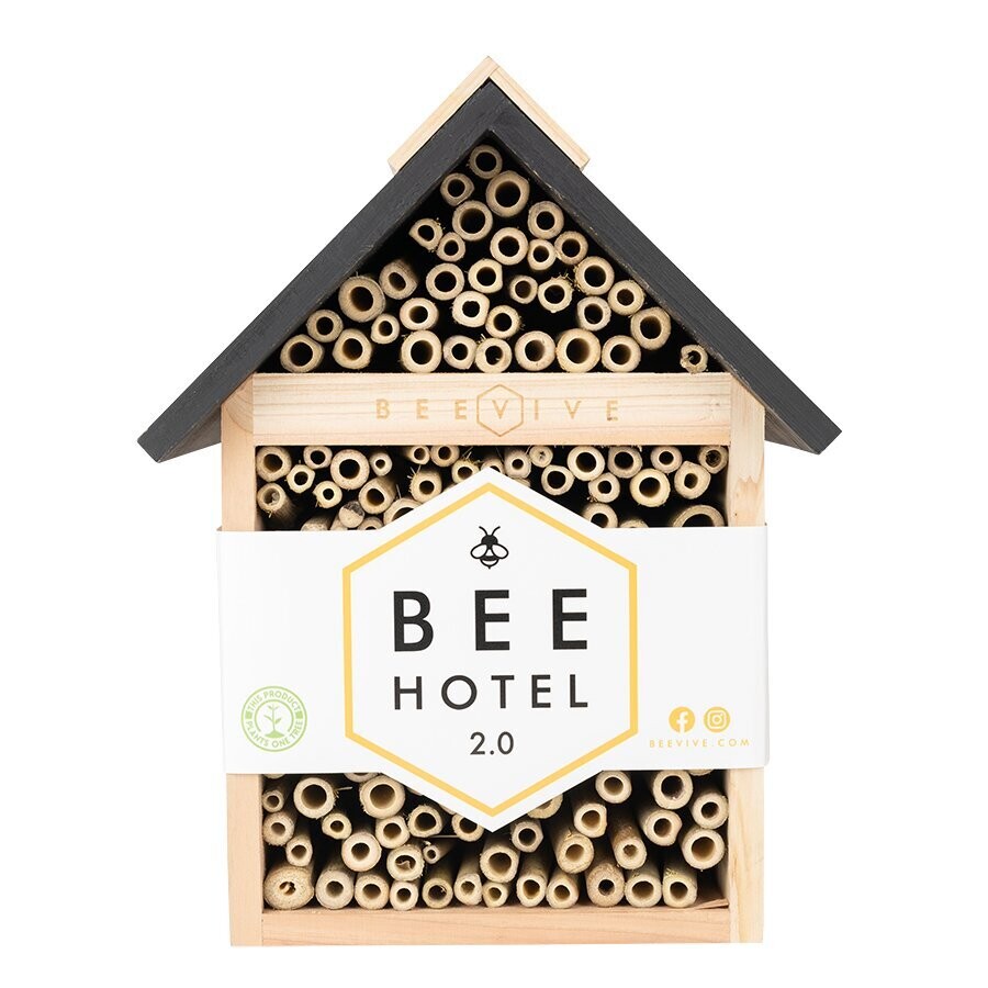 Beevive Bee Hotel 2.0