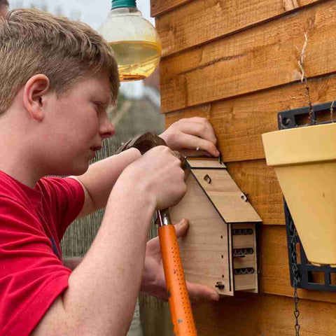 Installing solitary bee hotel