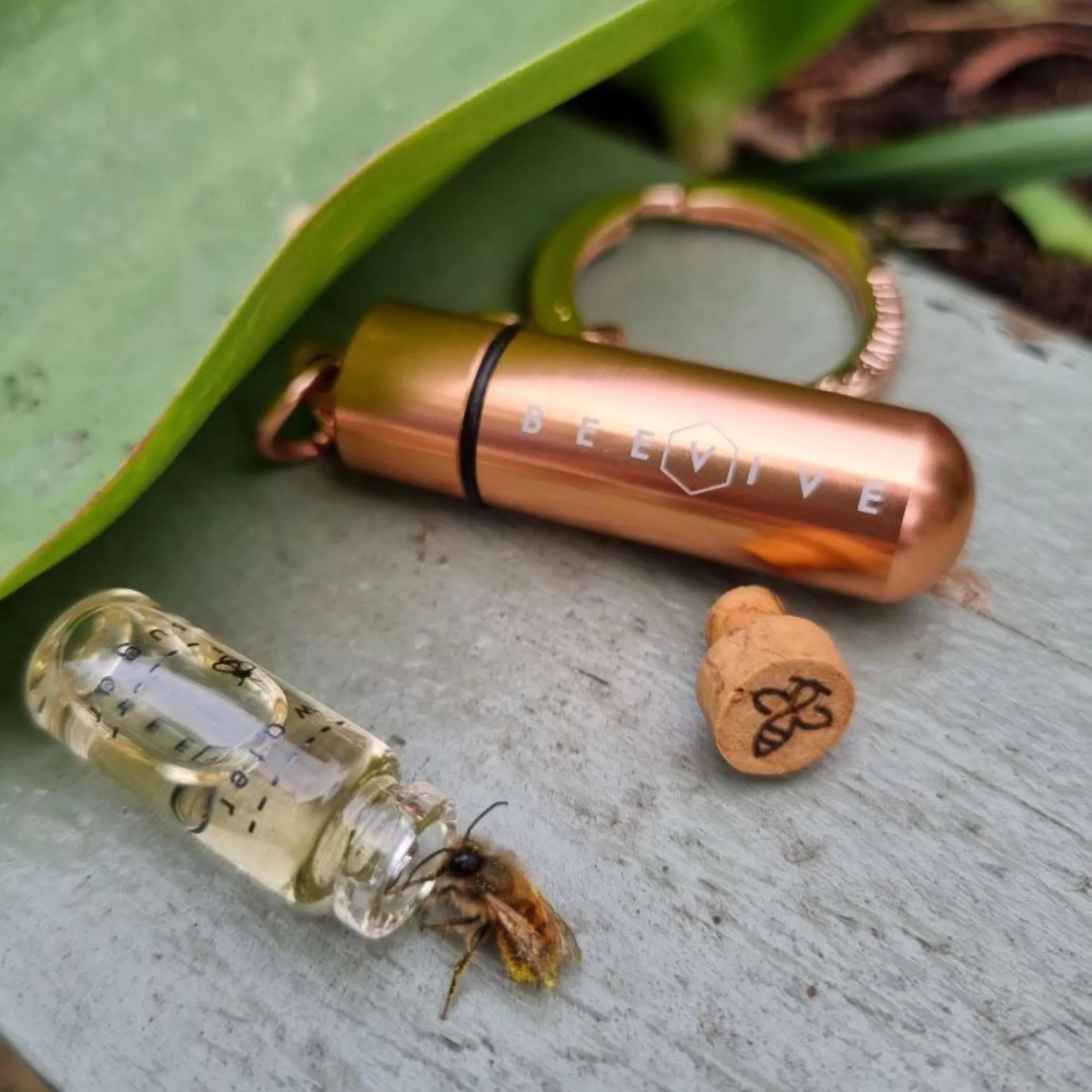 a thirsty bee taking a much needed drink from our rose gold bee revival kit