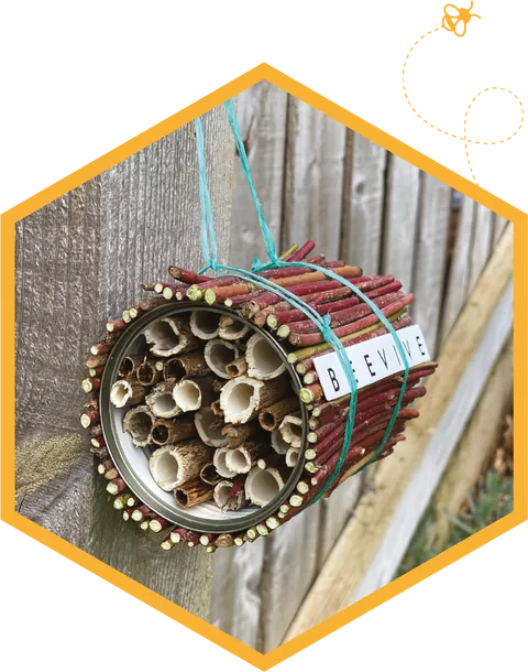 bee home