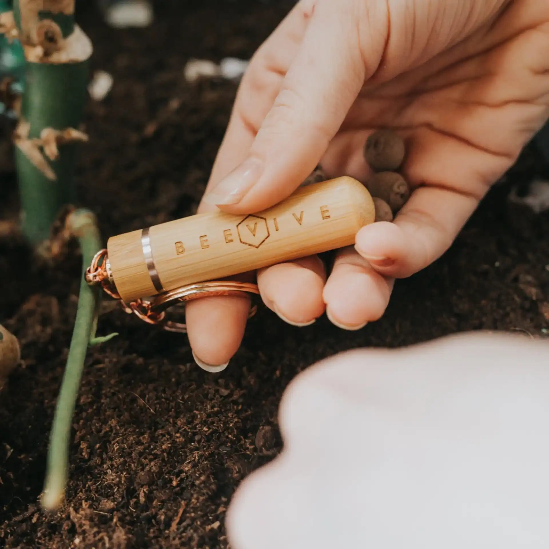 bamboo bee revival keyring above some soil