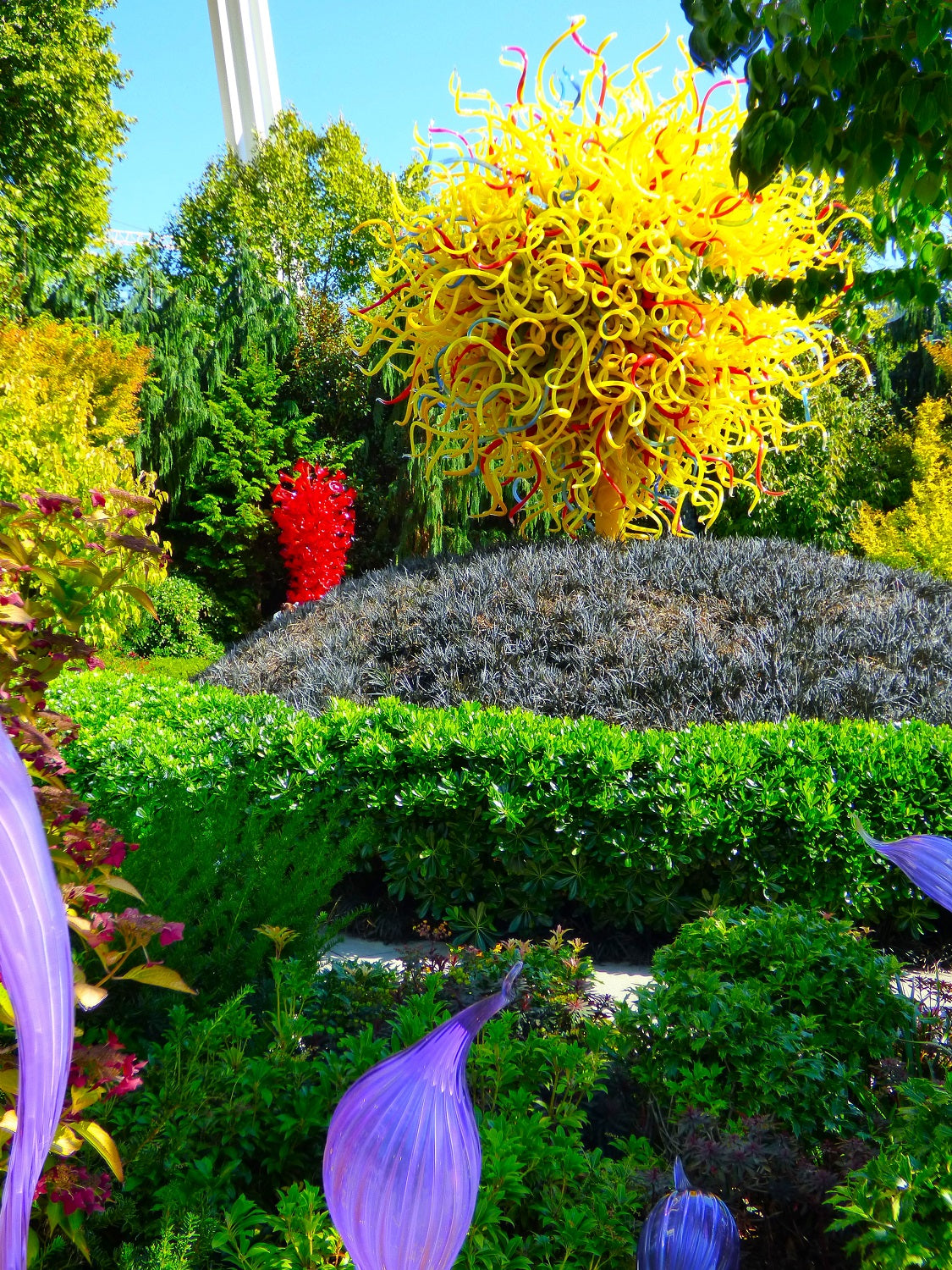 Chihuly Glass Sculpture