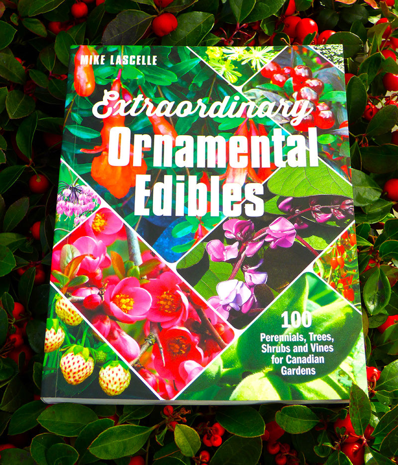 Extraordinary Ornamental Edibles - A Book by Mike Lascelle