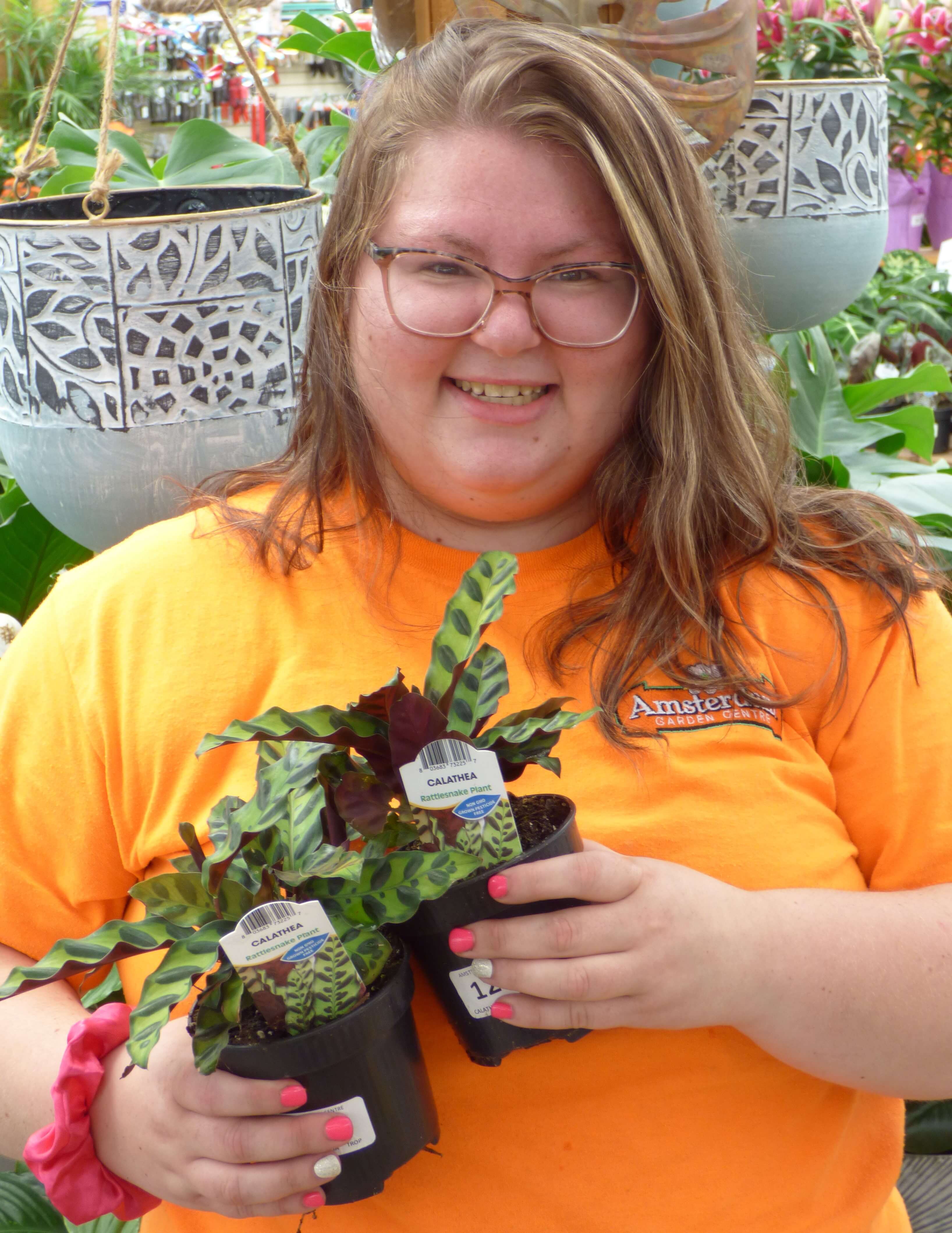 Victoria with Rattlesnake Plant (Calathea lancifolia)