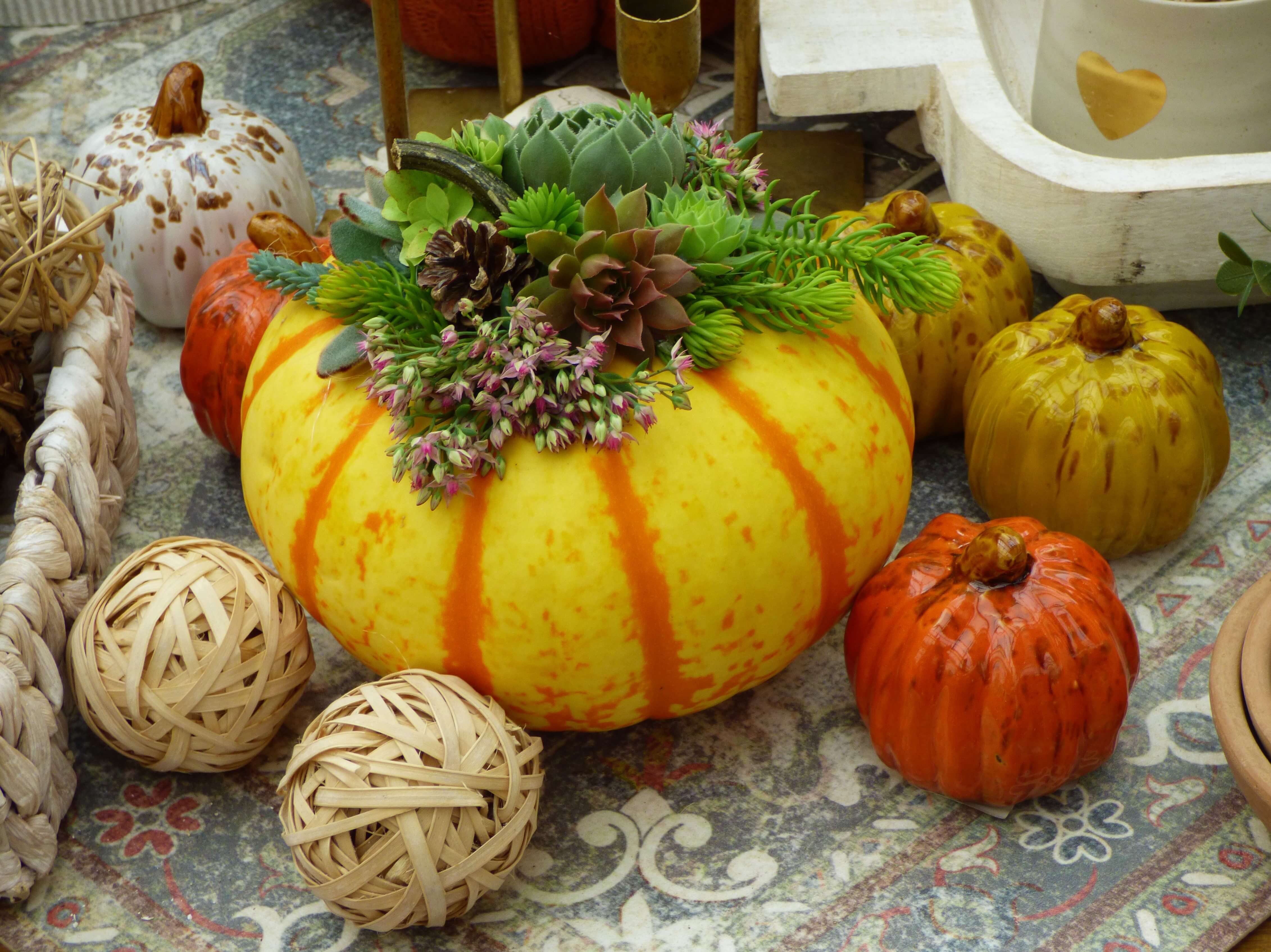 DIY Succulent Pumpkin Décor