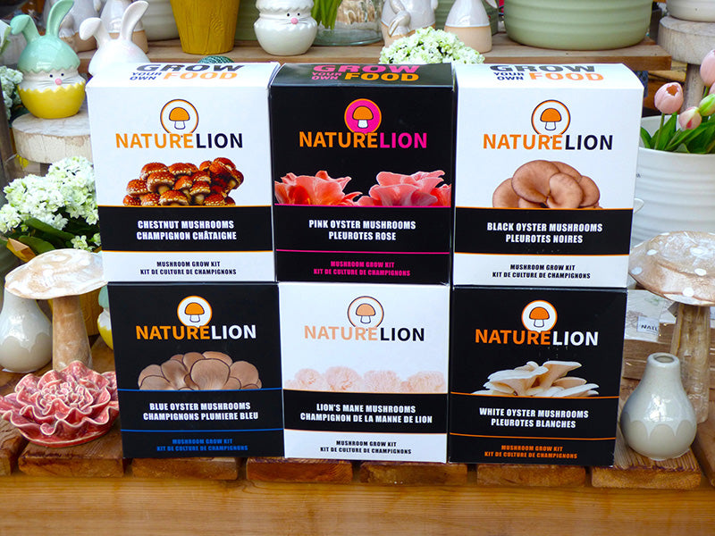 Nature Lion Mushroom Varieties