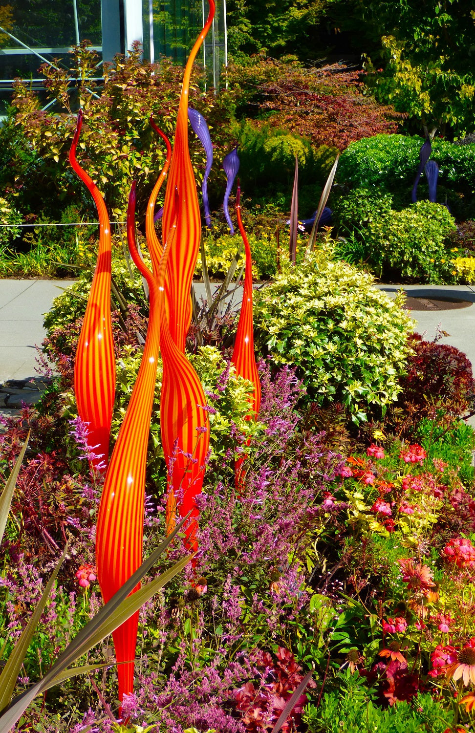 Phormium Plant at Chihuly Garden and Glass