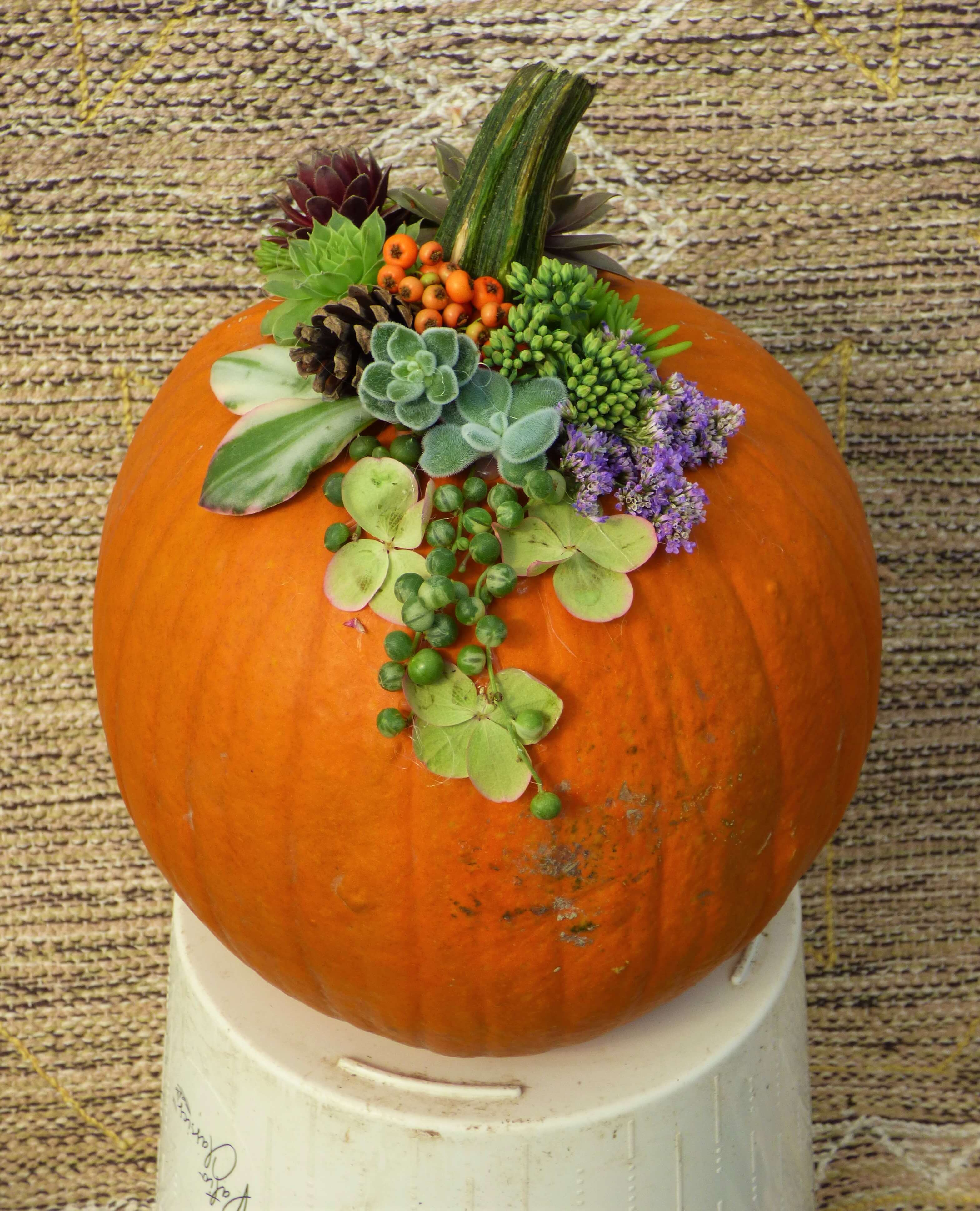 DIY Succulent Pumpkin Décor