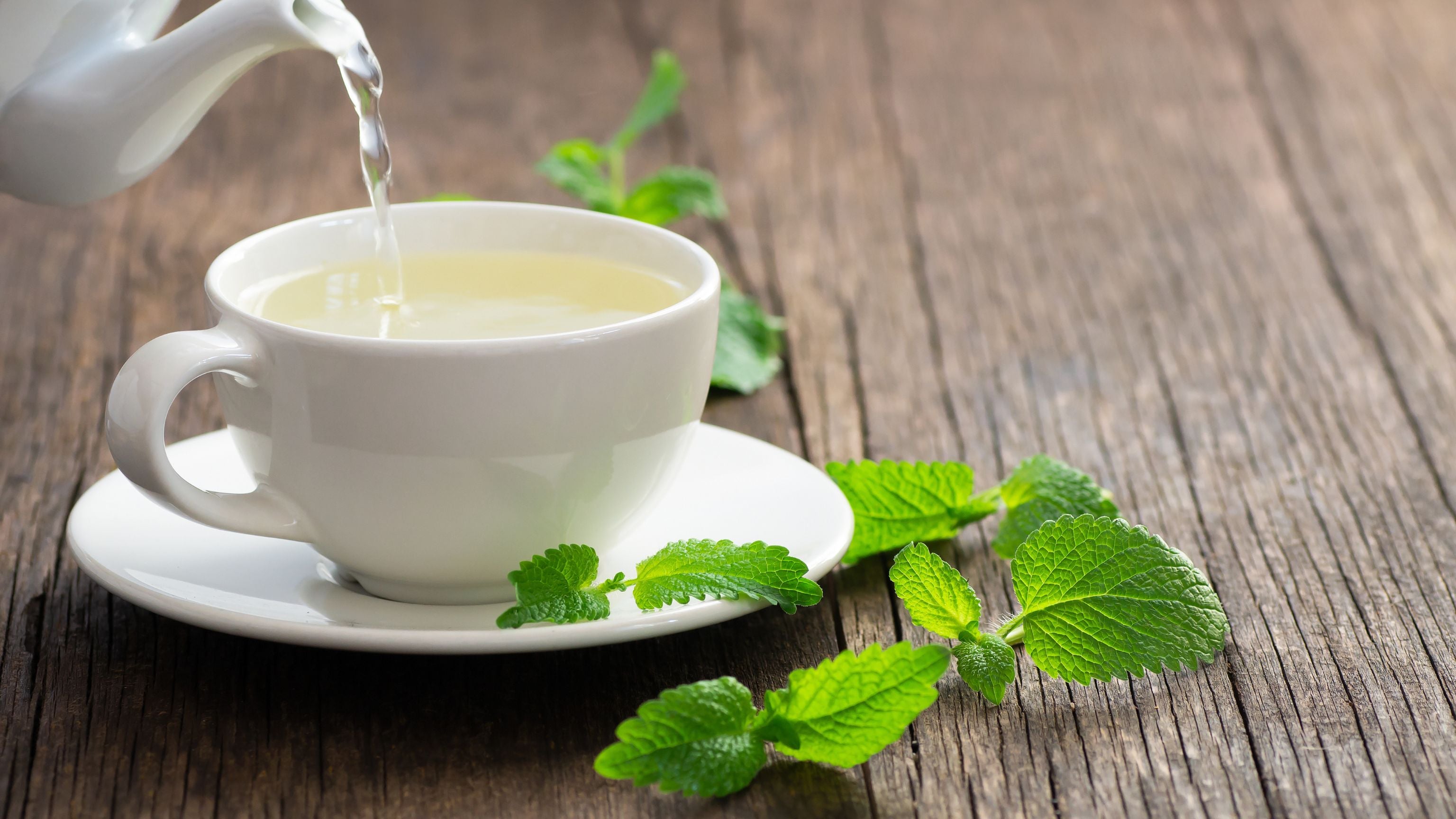 Lemon Balm Tea