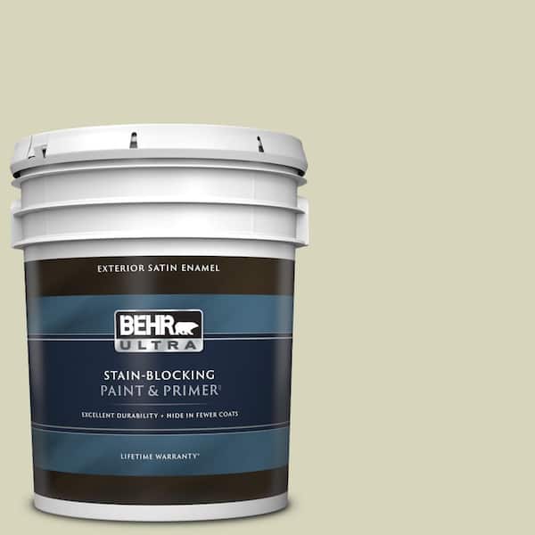 5 gal. #PPU9-17 Pale Cucumber Satin Enamel Exterior Paint & Primer