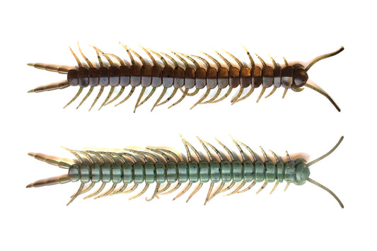 Centipede 5.8 Cajun Melon 8PK