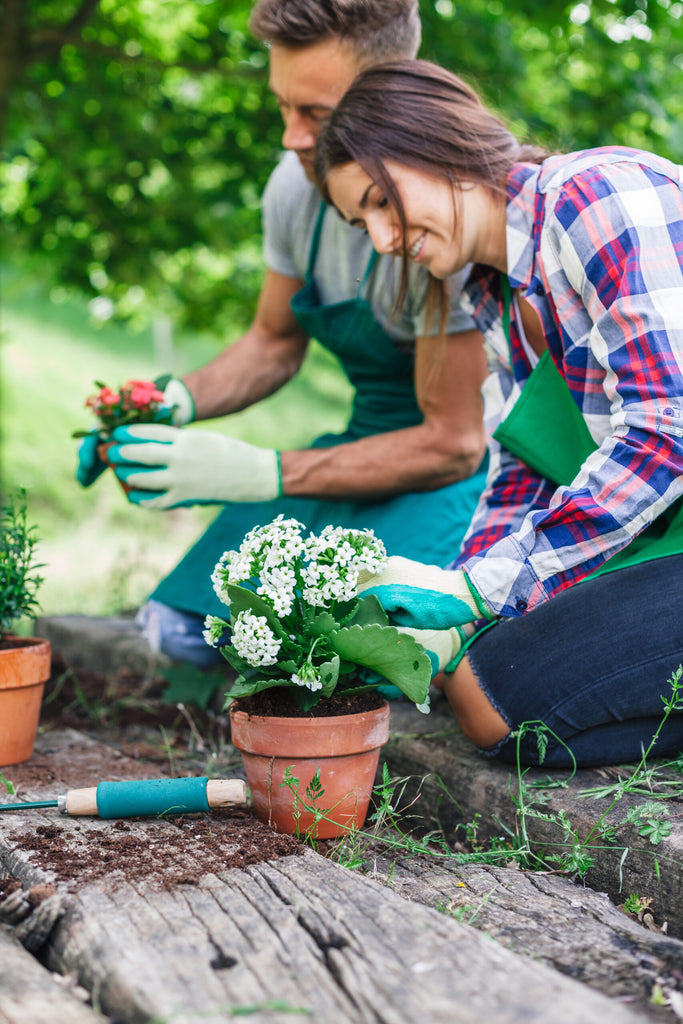 Couple Gardening