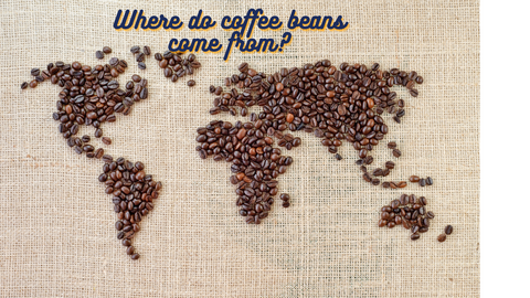 Where does coffee come from