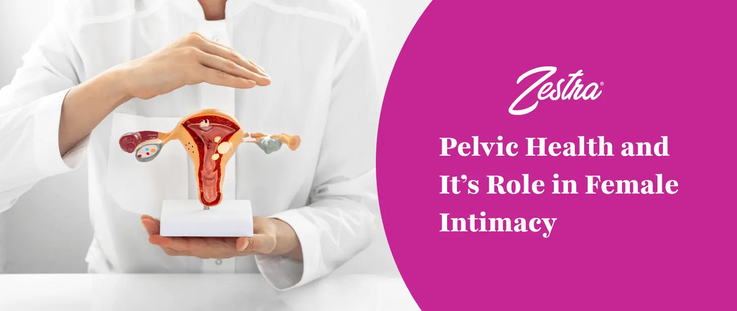 Pelvic blog banner option 2.webp__PID:dbffbb27-dc3b-49c2-a08e-1b3684e5e9b2