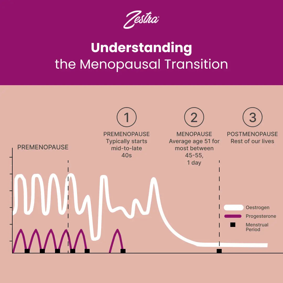 Understanding the Menopausal Transition.webp__PID:1cf6ade8-4bbb-47cd-becf-3f0fbbb989b8