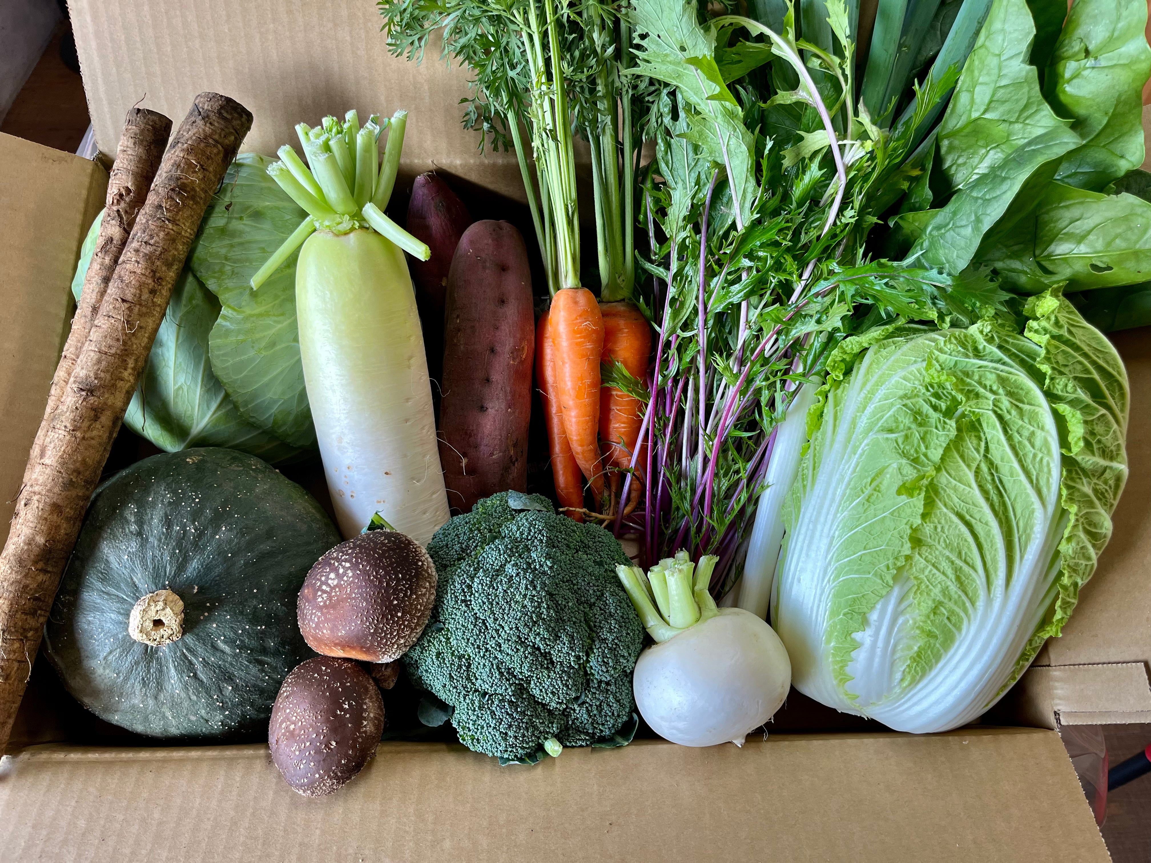 定期便サービス 2 IMG_5341.heic__PID:de9a9b3d-ddf1-4141-a49c-e4bd4650f85b