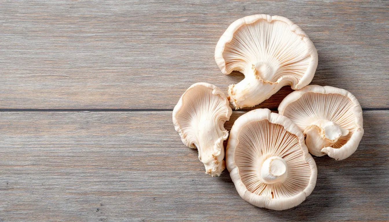 fresh oyster mushrooms with vibrant colors and firm texture