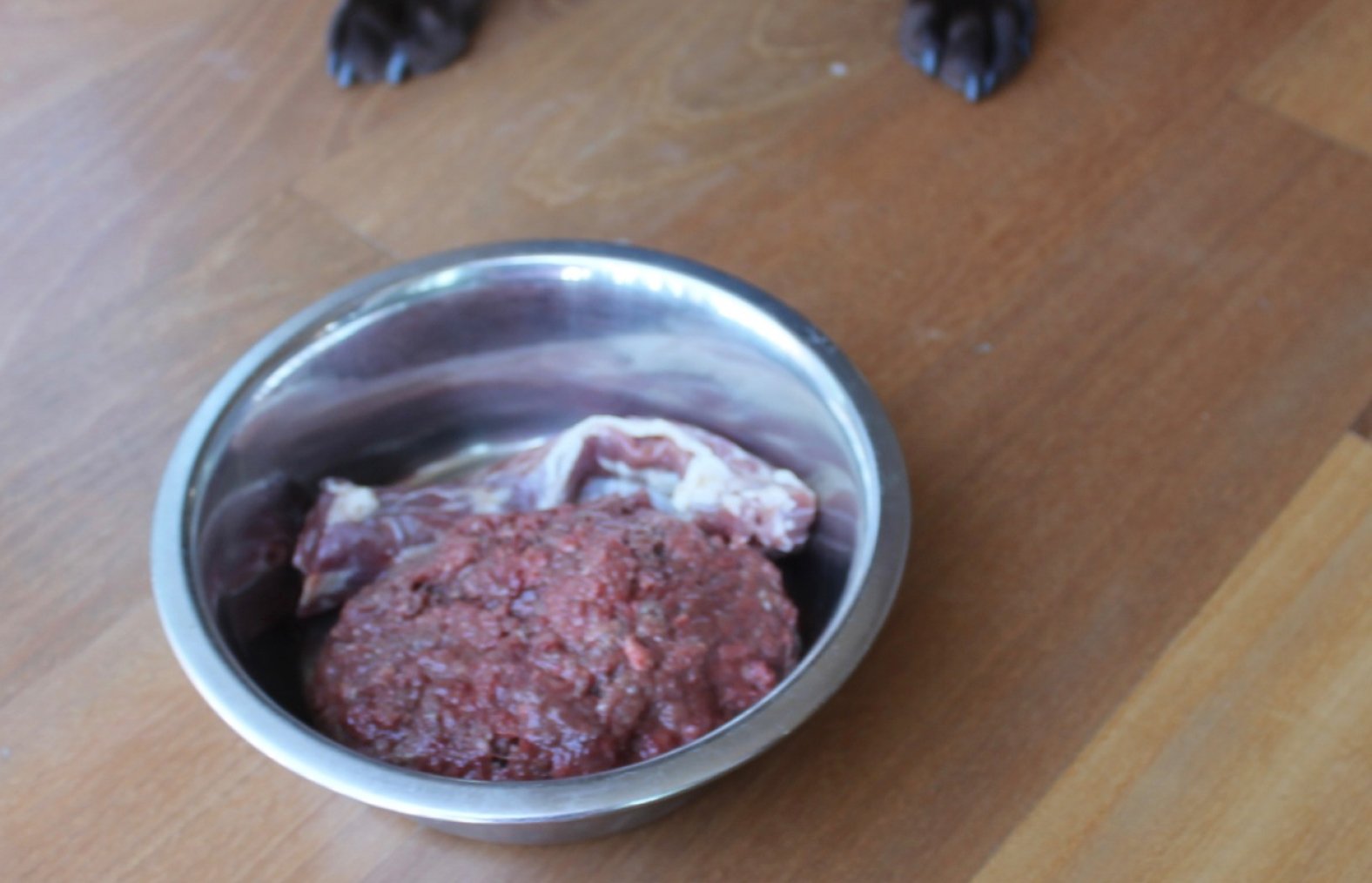 Metal Bowl of Meat - Pure Life Raw Pet Food