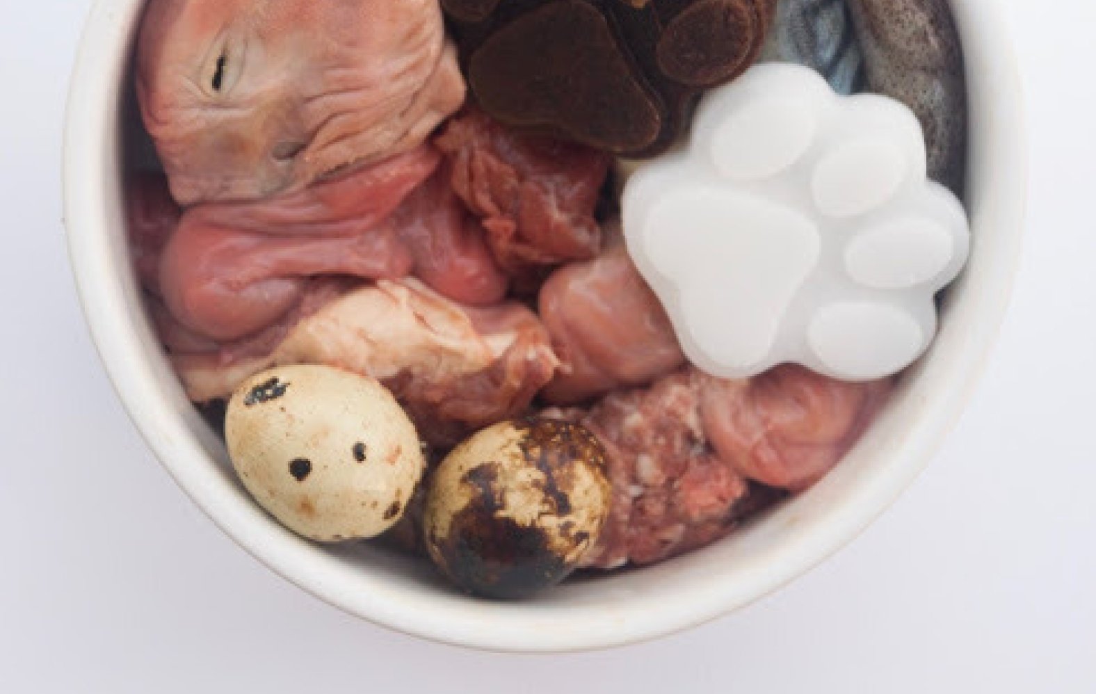 Ceramic Bowl of Meat - Pure Life Raw Pet Food