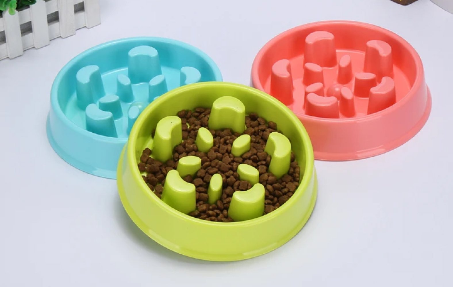 Colorful Plastic Bowls - Pure Life Raw Pet Food 