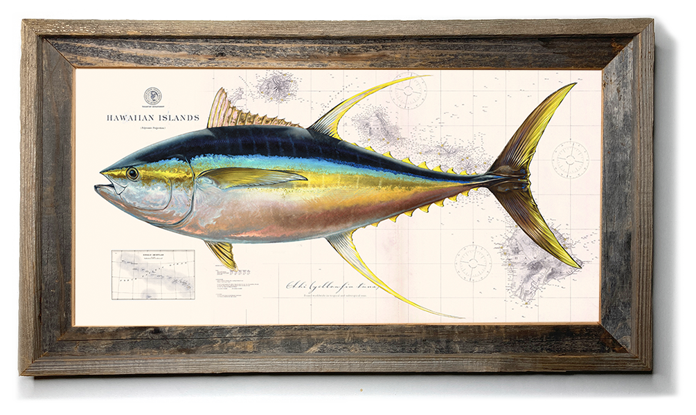 Yellowfin Tuna Illustration 111 - Studio Abachar