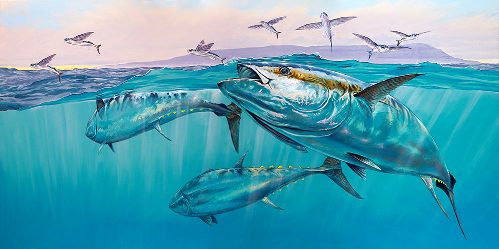 Bluefin tuna art “Pair of Bluefin Tuna” illustration prints by Studio  Abachar